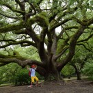  07 02-04Kyoto1794